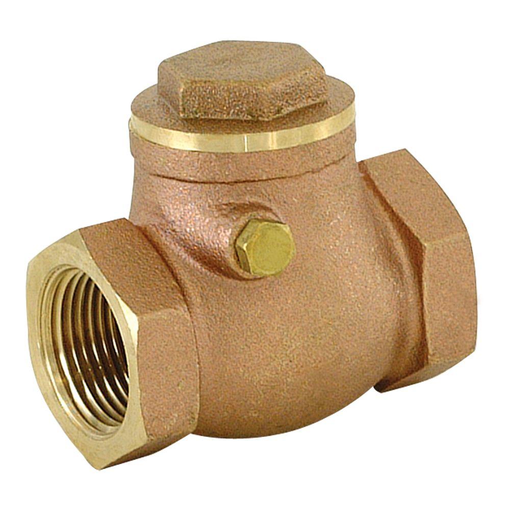 Check Valves and Backflow Preventers